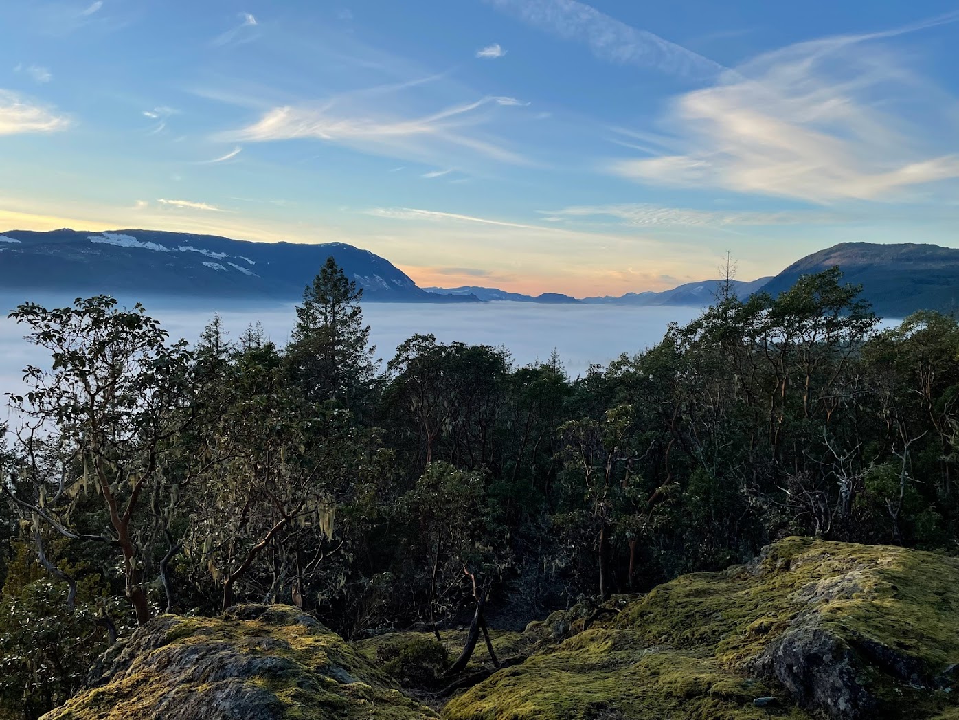 Highlight angle showing privacy and wide exposure