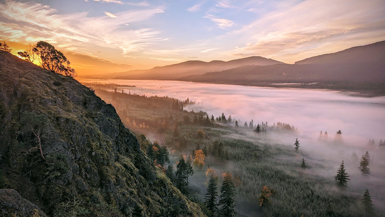 Highlight image showing arbutus and rock composition