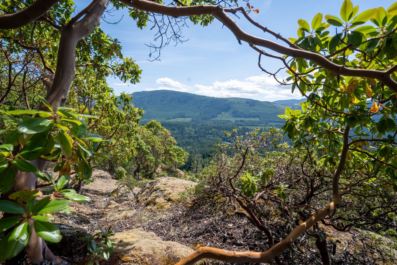 Mountaintop ridge and valley view from aerial perspective