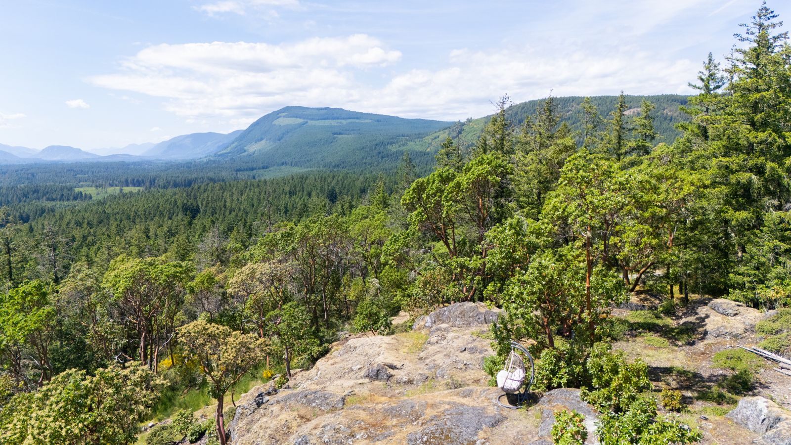 Rock outcrop and arbutus landscape detail