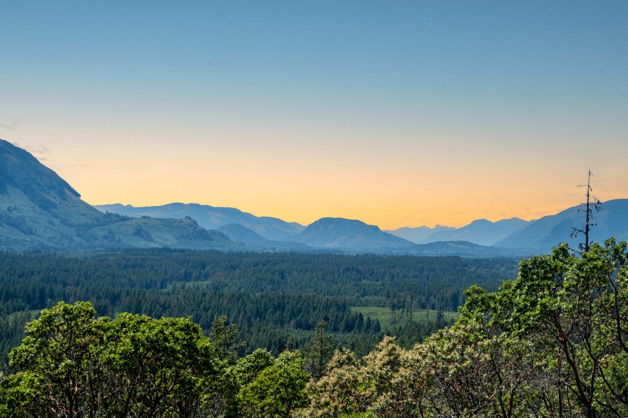 Highlight angle showing privacy and wide exposure